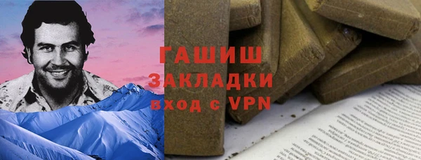 шишки Покачи