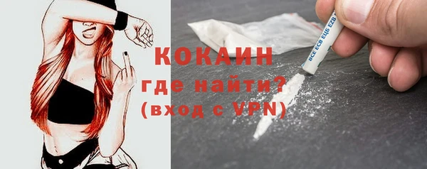 прущие грибы Балабаново