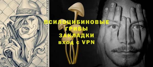 прущие грибы Балабаново
