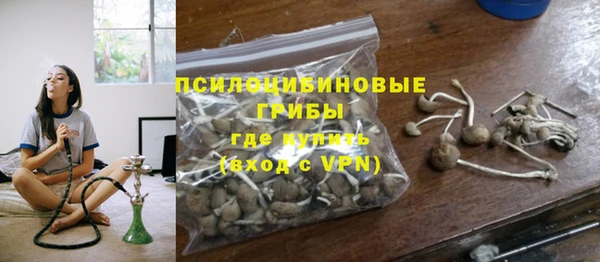 прущие грибы Балабаново