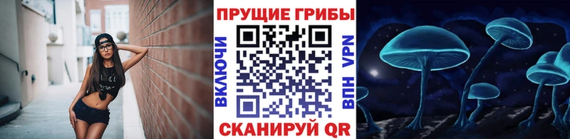Галлюциногенные грибы мухоморы  Болохово 