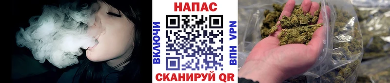 Канабис MAZAR Болохово